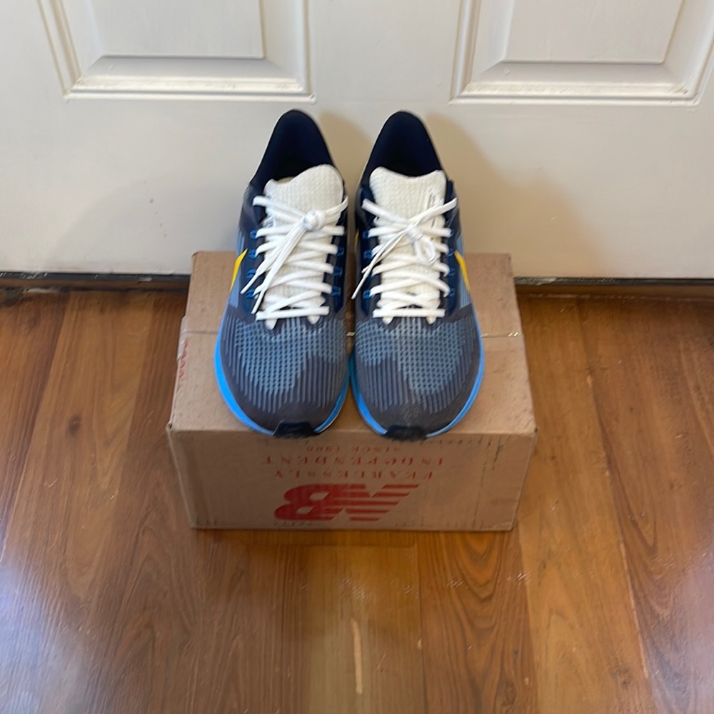 Nike Pegasus 39 Premium